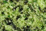 Peridot Crystals in Basalt - Arizona #355054-1